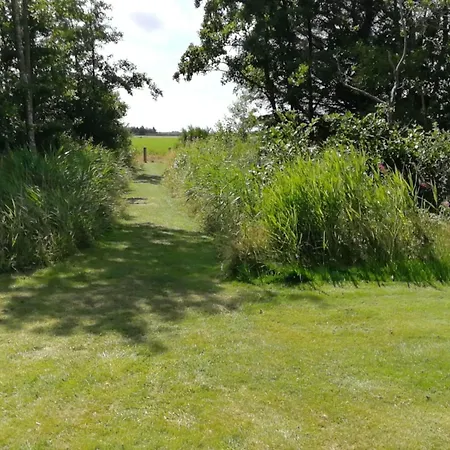 Vakantiehuis 8 Person In *